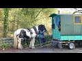 Horse drawn traveller in britain