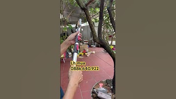 Hướng dẫn sử dụng kéo cắt cành trên cao