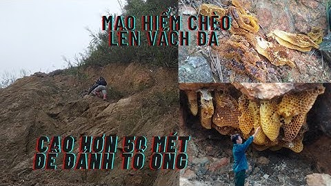hai anh em mạo hiểm chèo lên vách đá cao 50 mét để đánh tổ ong đá khủng #thợ rừng T N #
