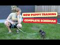 New Puppy Training - The DIAMOND Schedule Method