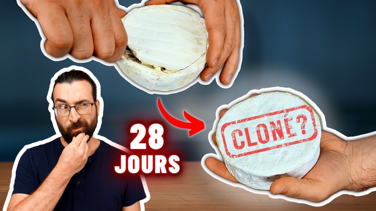 J’ai CLONÉ un fromage du commerce : voici ce qui s’est passé après 28 jours