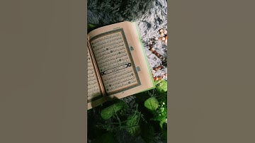القرآن الكريم بصوت جميل جدا #القرآن_الكريم #المصحف #اسمعنا #لايك #إشتراك #اكسبلور