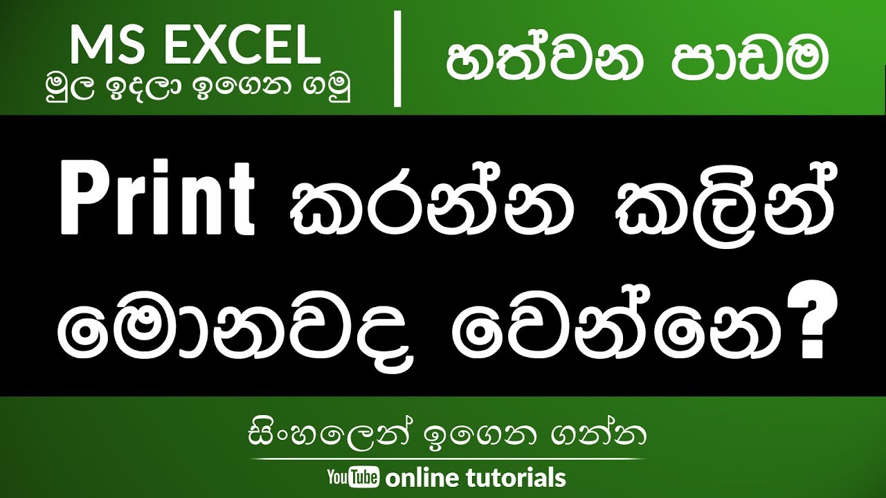 Microsoft Excel Beginner Course (Sinhala) Part 07 - Let's Print!