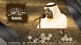 Surah Nahl Qari Mukhtar Al Haaj (سورةآلنحل ¦¦ تلاوة مباركة للقارئ || مختار الحاج)