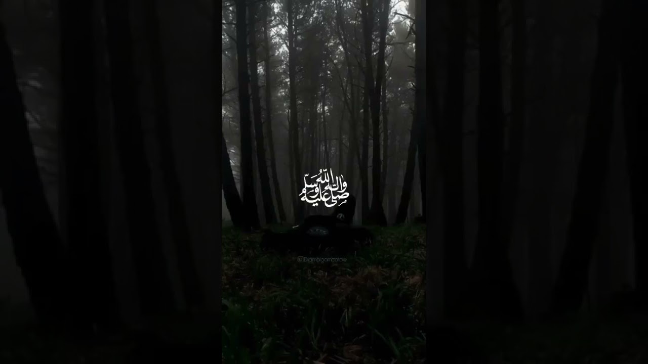 Napominanie sebe i vam 🫀🍂 