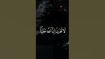 #تلاوة_هادئة #المصحف #لايك #اكسبلور #الرحمن قرآن كريم