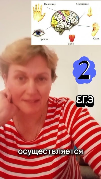 Познание. Основные признаки #обществознание #егэ #егэ2024 # ...