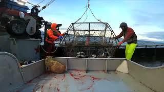 Winter Cod 2022, Fv Raven Bay, Dutch Harbor, Alaska