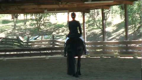 Jil & DeeAnne Gunnemann - Training Level Test 3 - ...