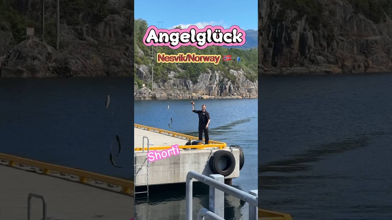 𝗡☀️𝗿𝘄𝗮𝘆🇳🇴❤️𝗔𝗻𝗴𝗲𝗹𝗴𝗹ü𝗰𝗸 𝗦𝗲𝗲𝗹𝗮𝗰𝗵𝘀 𝗶𝗻 𝗡𝗲𝘀𝘃𝗶𝗸🐟🎣