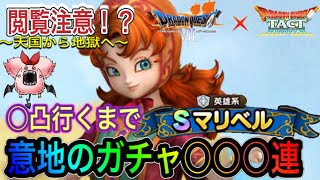 閲覧注意！？天国から地獄へ…　【ドラクエタクト】　〇凸行くまで　『マリベル』　意地のガチャ〇〇〇連！！