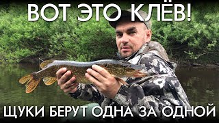 ВОТ ЭТО КЛЁВ / ЩУКИ БЕРУТ ОДНА ЗА ОДНОЙ