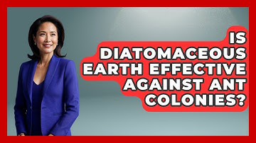 Is Diatomaceous Earth Effective Against Ant Colonies? - Insects and Invaders
