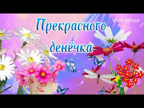 Я Вам Желаю Прекрасного Дня И Отличного Настроения😘Музыкальная Открытка🌿Красивое Пожелание 🌸