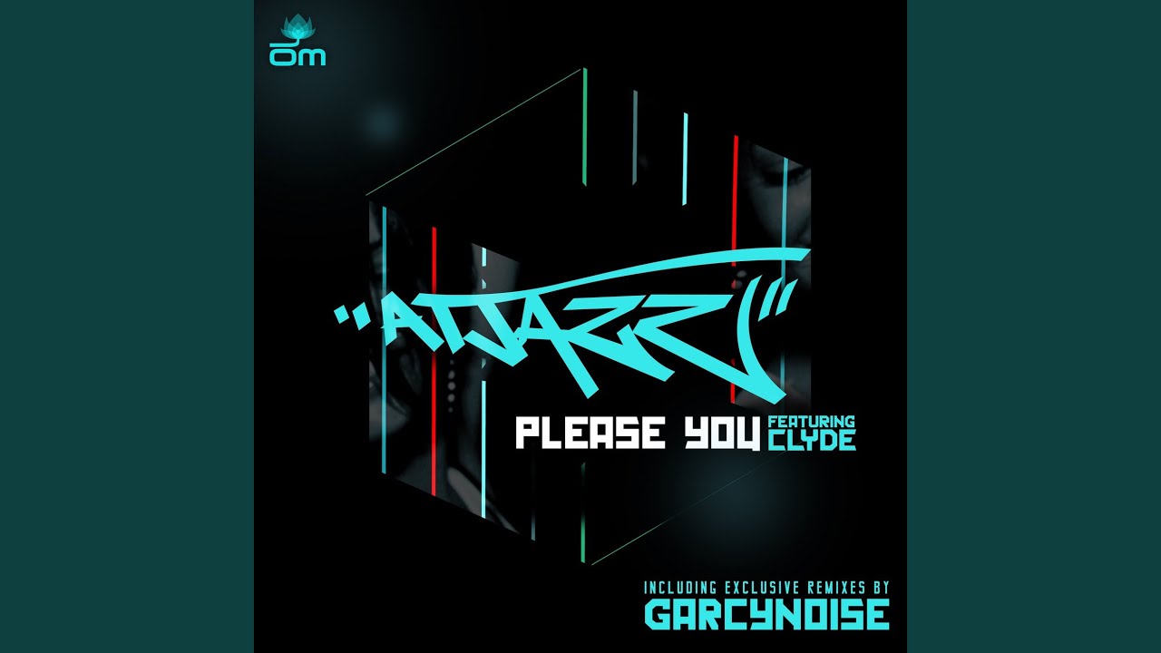 Please You (GarcyNoise Remix)