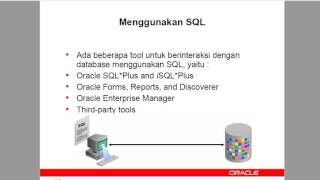 4  Database Interfaces Oracle