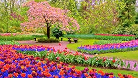 Spring Has Finally Sprung