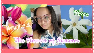 Perfume Collection 2021 | Tropical Flower Perfumes | Frangipani & Tiare