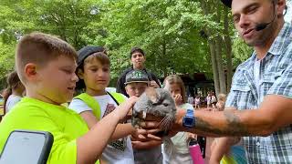 JCC Day Camp