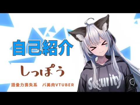 【自己紹介】新人バ美肉Vtuber爆誕！！！みんなうちのこと知ってくれー！！【新人Vtuber】