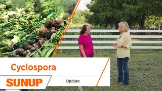 Cyclosporiasis Outbreak: How to Protect Yourself