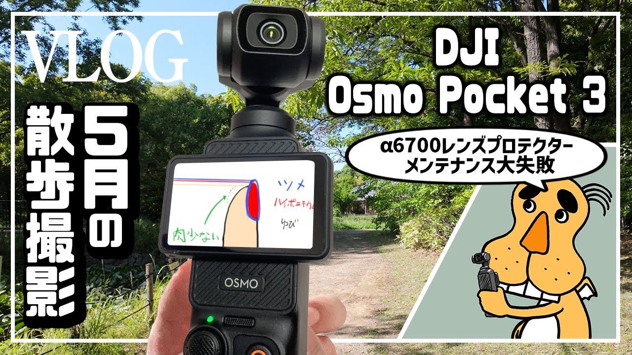 イモトーク】DJI Osmo Pocket 3で散歩撮影/α6700で写真撮ってきた