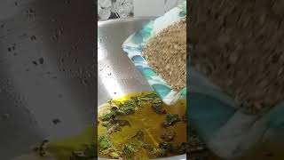 आलू प्याज़ की खस्ता कचौड़ी 😋/Crispy Aalu Pyaaz Kachori 😍/#kachori #recipe #viral #shorts