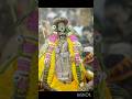 ஸ்ரீரங்கம் ரங்கநாதர் திருக்கோயிலில் வைகுண்ட ஏகாதேசி சொர்க்கவாசல் இன்று அதிகாலை திறக்கப்பட்டது -