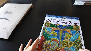 Unboxing / Flip Through - Creative Haven - Entangled Dragonflies - Angela Porter - Indian Colourist