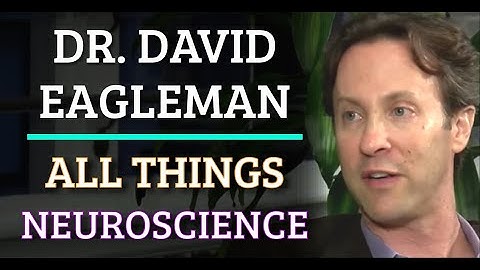 Dr. David Eagleman - All Things Neuroscience
