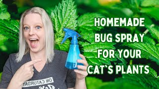 Plant Bug Spray That Is Safe To Use Around Cats by That Cat Mommy 54 views 11 months ago 3 minutes, 42 seconds
