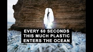 Celebrity This is how much plastic enters the ocean every 60 seconds Wealth
