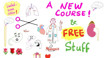 A New “HighYields” Course + Free Gifts 🎁