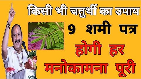 चतुर्थी का उपाय,9 शमी पत्र जो करेंगी हर मनोकामना पूरी | #upay #pradeepmishra