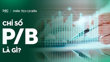 Chỉ số P/B là gì? Cách sử dụng trong chứng khoán | Phân tích cơ bản