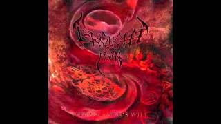 Brought by Pain - The Immaturity of Verity