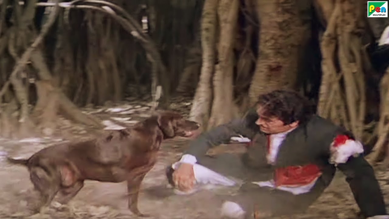 Moti Dog Kills Amrish Puri  Asrani   Teri Meherbaniyan Climax Scene 2 Jackie Shroff Amrish Puri