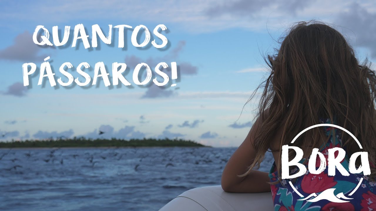 BORA #178 - PARAÍSO ANIMAL! O passe de Tikehau e sua beleza (English/Spanish CC)