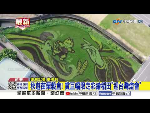 Fall Trip to the Miaoli Granary! Enjoy Giant Limited-Edition Rice Paddy Art Celebrating the Taiwa...