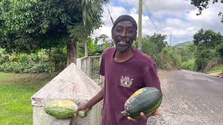 Visiting lambert’s place in Jamaica 🇯🇲 ❤️🌷🦋