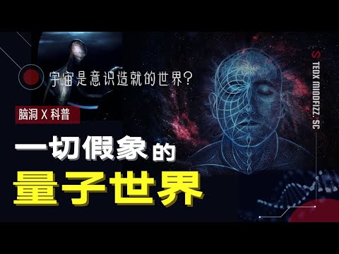 意识 | 量子世界 | 眼前一切其实是不存在的，真相或让你不知所措！佛祖说过的万物皆空，意识真创造了这个宇宙吗？光栅实验，诡异的量子效应理解不朽的生命体 |  泰迪仔x 脑洞科普汇