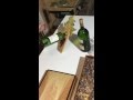 Self balancing Wine bottle holder set Self balancing Wine bottle holder set