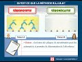 Tout savoir et comprendre sur la mthode elisa  version courte