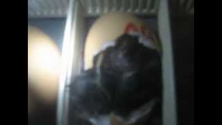 MVI_0174.AVI