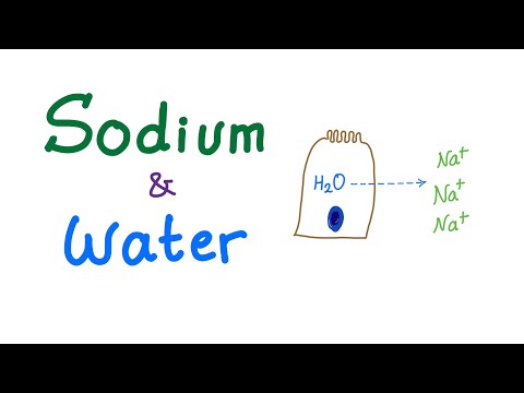 Sodium and Water - Electrolytes - Osmosis - Osmotic Pressure - Fluids and Electrolytes Series