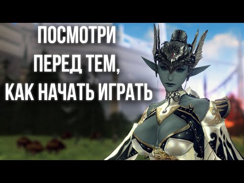 Топ-5 советов для новичков в Lineage 2 Essence