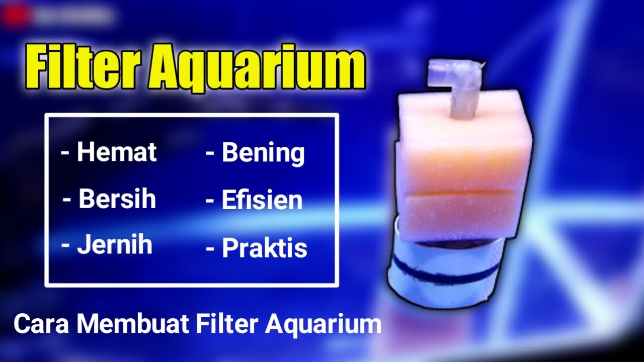 Cara Membuat Filter Aquarium I Bio foam Filter YouTube