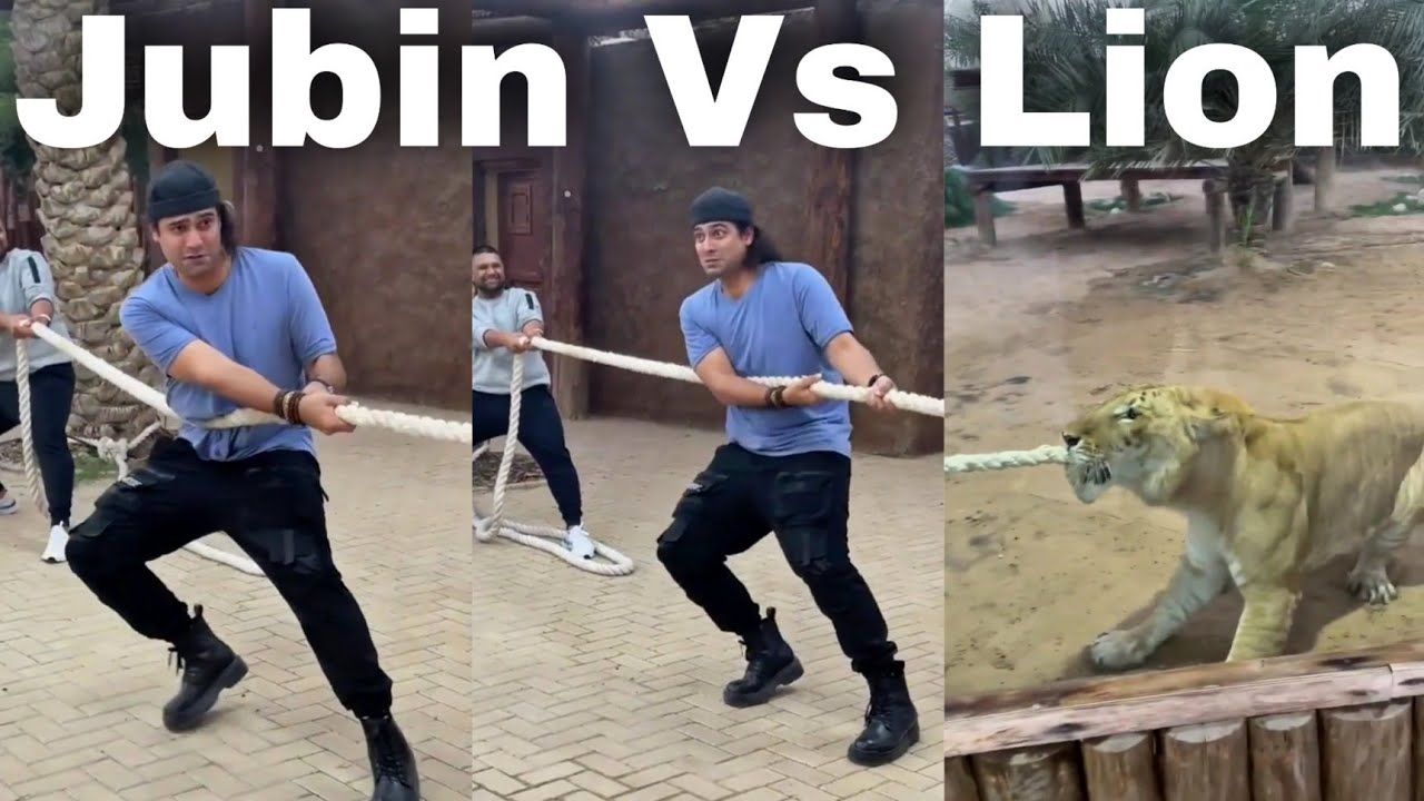 Jubin Nautiyal Vs Lion ? in Dubai | Jubin Nautiyal New Short instagram Reels #jubinnautiyal #shorts