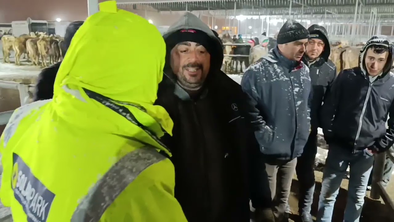 28 ŞUBAT 2026 SİVAS ŞARKIŞLA CANLI HAYVAN PAZARI .!!! 1. bölüm #KAR #KIŞ #KIYAMET