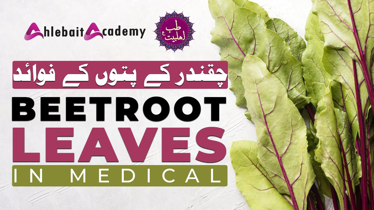 Beetroot Leaves Benefits in Medical YouTube